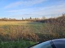 Acreage Route 2, Carleton, PE 