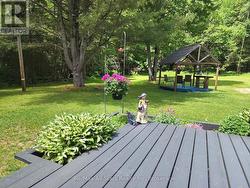 Level backyard for family fun - 