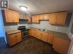 Basement kitchen - 