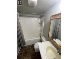 Basement bathroom - 