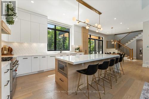 251 Aldercrest Avenue, Hamilton, ON - Indoor Photo Showing Kitchen With Upgraded Kitchen