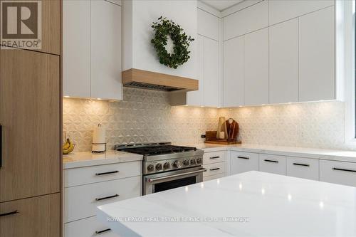 251 Aldercrest Avenue, Hamilton, ON - Indoor Photo Showing Kitchen With Upgraded Kitchen