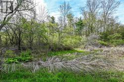 0 MINERAL SPRINGS Road Ancaster, ON L9H 5E3