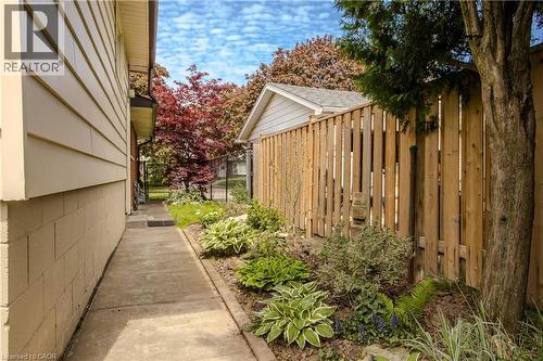 Paved concrete pathway bordered by a landscaped garden bed with hostas and shrubs, complemented by a wood privacy fence and mature trees - 643 Artreva Crescent, Burlington, ON - Outdoor
