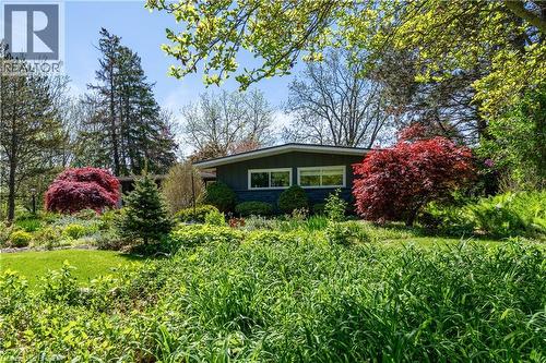 9 Summerhayes Crescent, Brantford, ON - Outdoor