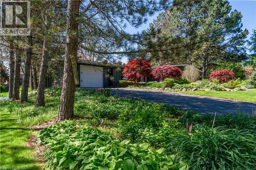 9 Summerhayes Crescent, Brantford, ON - Outdoor