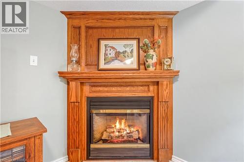 24 Griffiths Drive Unit# 9, Paris, ON - Indoor Photo Showing Living Room With Fireplace
