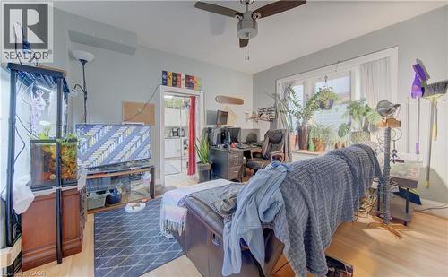 Bright living space featuring light wood-finish flooring, a ceiling fan with integrated lighting, and a large window - 48 Breithaupt Street, Kitchener, ON - Indoor