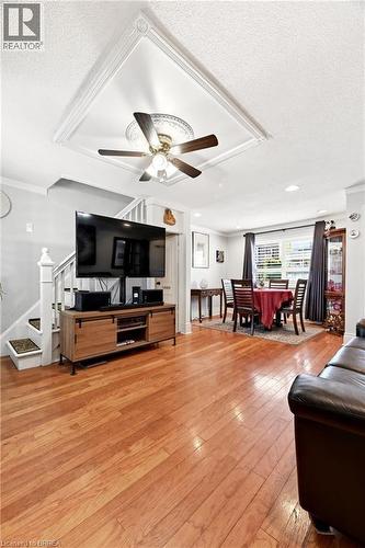Open-concept living area featuring rich wood-finish flooring, a decorative ceiling medallion with a fan, crown molding, and a visible dining area - 23 Britannia Avenue, Hamilton, ON - Indoor