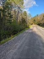 0 SUGAR LAKE ROAD Seguin, ON P2A 2W9