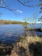 974 Ice Lake Drive Gore Bay, ON P0P 1H0