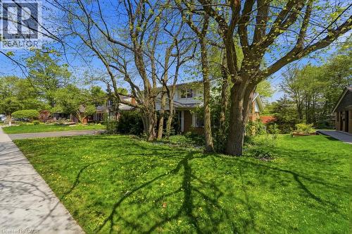 Expansive front yard featuring mature trees, a manicured lawn, and a concrete sidewalk - 46 Birchcliff Avenue, Kitchener, ON - Outdoor