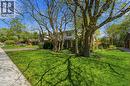 Expansive front yard featuring mature trees, a manicured lawn, and a concrete sidewalk - 46 Birchcliff Avenue, Kitchener, ON  - Outdoor 