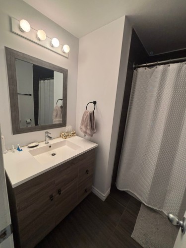 Salle de bains - 201 Mtée Sanche, Boisbriand, QC - Indoor Photo Showing Bathroom