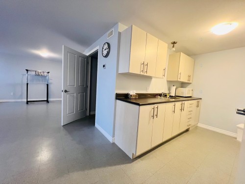 Salle communautaire - 10 Rue St-Jacques E., Princeville, QC - Indoor Photo Showing Kitchen