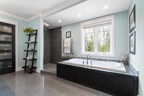 Salle de bains - 71 Rue De La Rivière, Sainte-Catherine-De-Hatley, QC - Indoor Photo Showing Bathroom