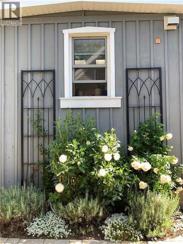 Vertical panel siding with a single-hung window featuring white trim and a window box - 546 Hurd Avenue, Burlington, ON - Outdoor