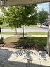 10 Daylily Lane, Kitchener, ON 