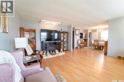 406 Walter Scott Avenue, Hanley, SK - Indoor Photo Showing Living Room