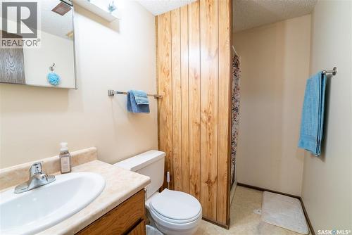 406 Walter Scott Avenue, Hanley, SK - Indoor Photo Showing Bathroom