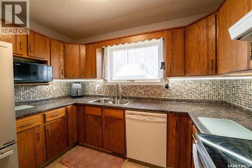 406 Walter Scott Avenue, Hanley, SK - Indoor Photo Showing Kitchen With Double Sink