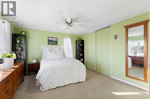 245042 Range Road 251, Rural Wheatland County, AB - Indoor Photo Showing Bedroom