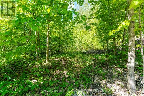 Hydro, Natural Gas, Fibre Line all Available - 1536 Champlain Road, Tiny, ON 