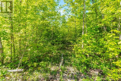 The Vacant Lot - 1536 Champlain Road, Tiny, ON 