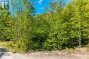 The Lot - 1536 Champlain Road, Tiny, ON 