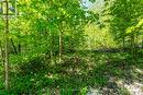 1536 Champlain Rd - 1536 Champlain Road, Tiny, ON 