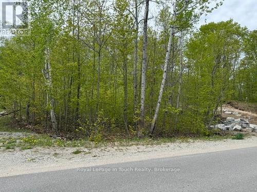 Treed Lot, Natural Gas Available - 1536 Champlain Road, Tiny, ON 