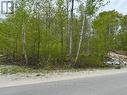 Treed Lot, Natural Gas Available - 1536 Champlain Road, Tiny, ON 
