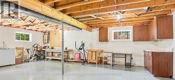 Large bright windows in basement - 