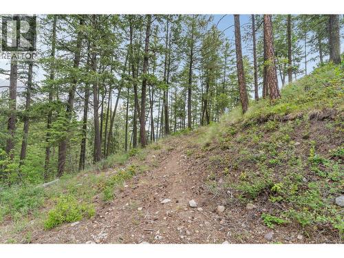 7801 Alpine Road, Fintry, BC 