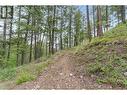 7801 Alpine Road, Fintry, BC 