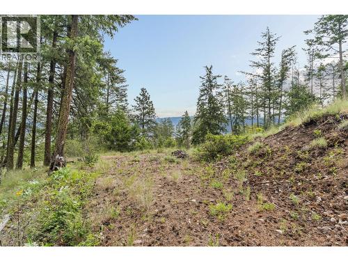 7801 Alpine Road, Fintry, BC 