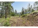 7801 Alpine Road, Fintry, BC 