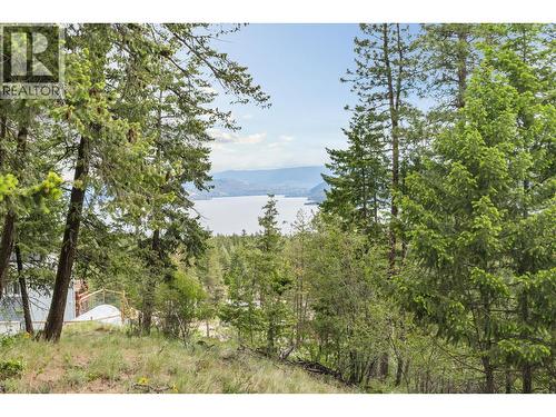 7801 Alpine Road, Fintry, BC 