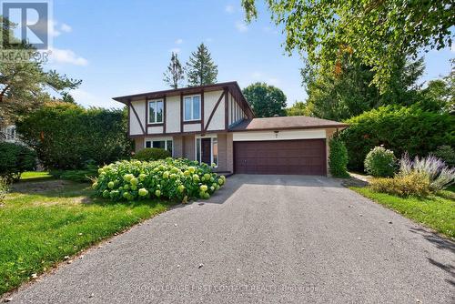 7 Maplecrest Road, Springwater, ON - Outdoor