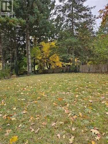 Expansive green lawn with scattered autumn leaves - 1154 Queens Boulevard, Kitchener, ON - Outdoor