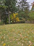 Expansive green lawn with scattered autumn leaves - 