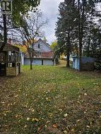 Expansive green space featuring a multi-level wooden play structure, mature evergreen trees, and a detached storage shed - 