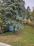 Expansive yard with evergreen trees and a blue storage shed - 1154 Queens Boulevard, Kitchener, ON  - Outdoor 