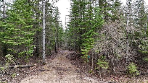 30 Anderon Road, Alexander Rm, MB 