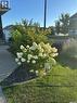 4301 Green Poplar Lane, Regina, SK  - Outdoor With View 