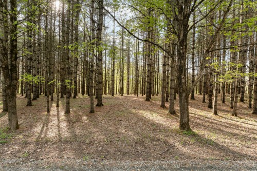 Terre/Terrain - Ch. De Cedarville, Ogden, QC 