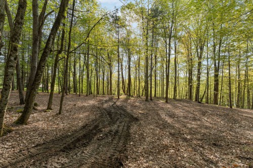 Terre/Terrain - Ch. De Cedarville, Ogden, QC 