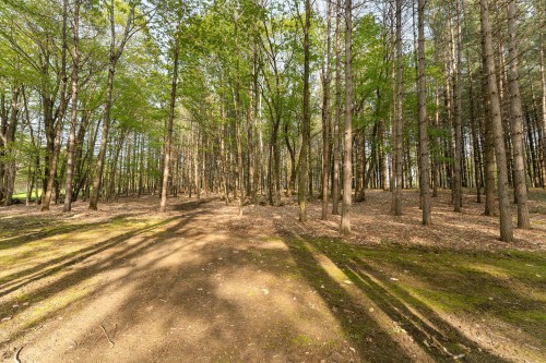 Terre/Terrain - Ch. De Cedarville, Ogden, QC 