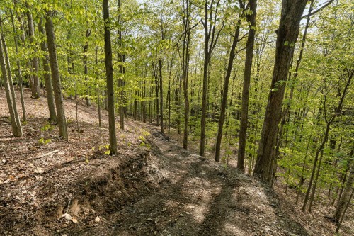 Terre/Terrain - Ch. De Cedarville, Ogden, QC 