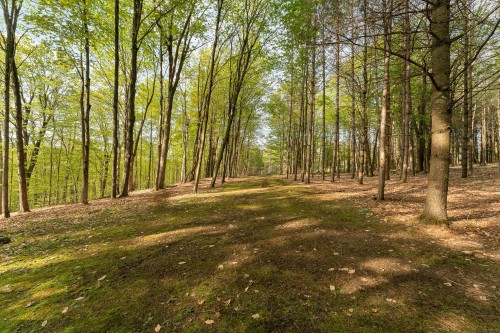 Terre/Terrain - Ch. De Cedarville, Ogden, QC 